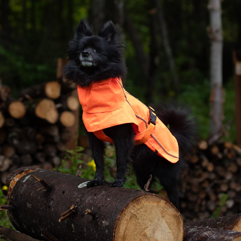 MANTEAU EQUINOXE