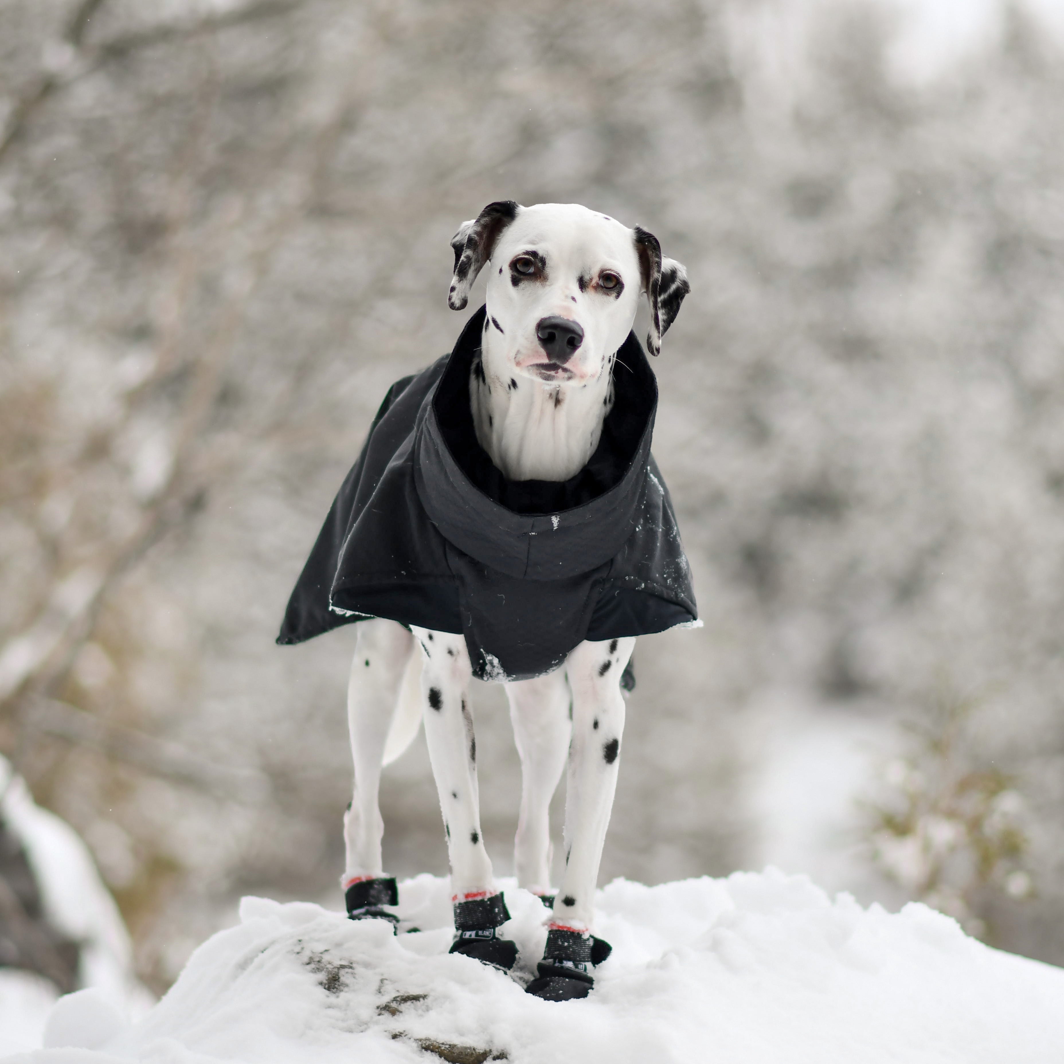 MANTEAU D’HIVER ORION