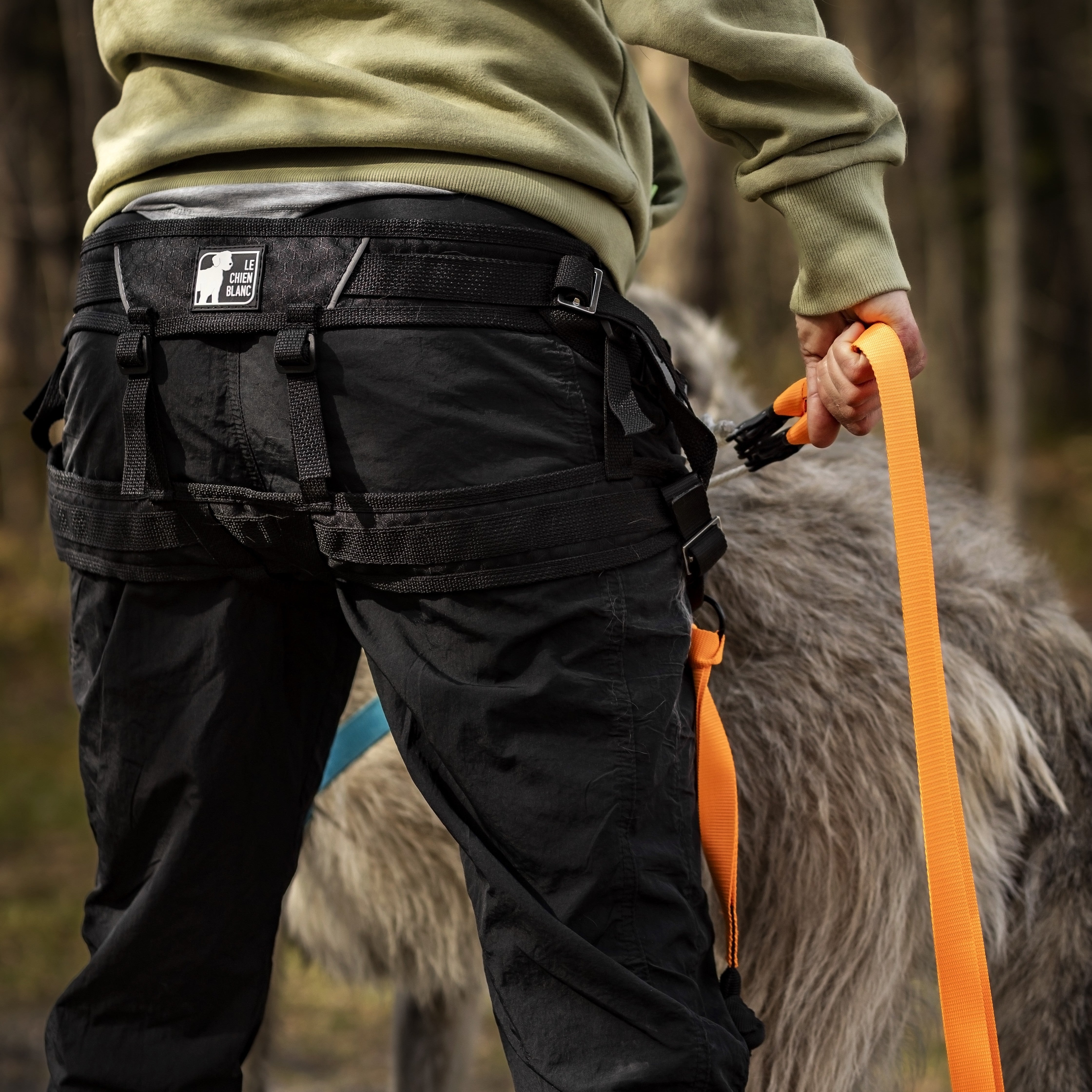 CEINTURE SÉRIE PRO