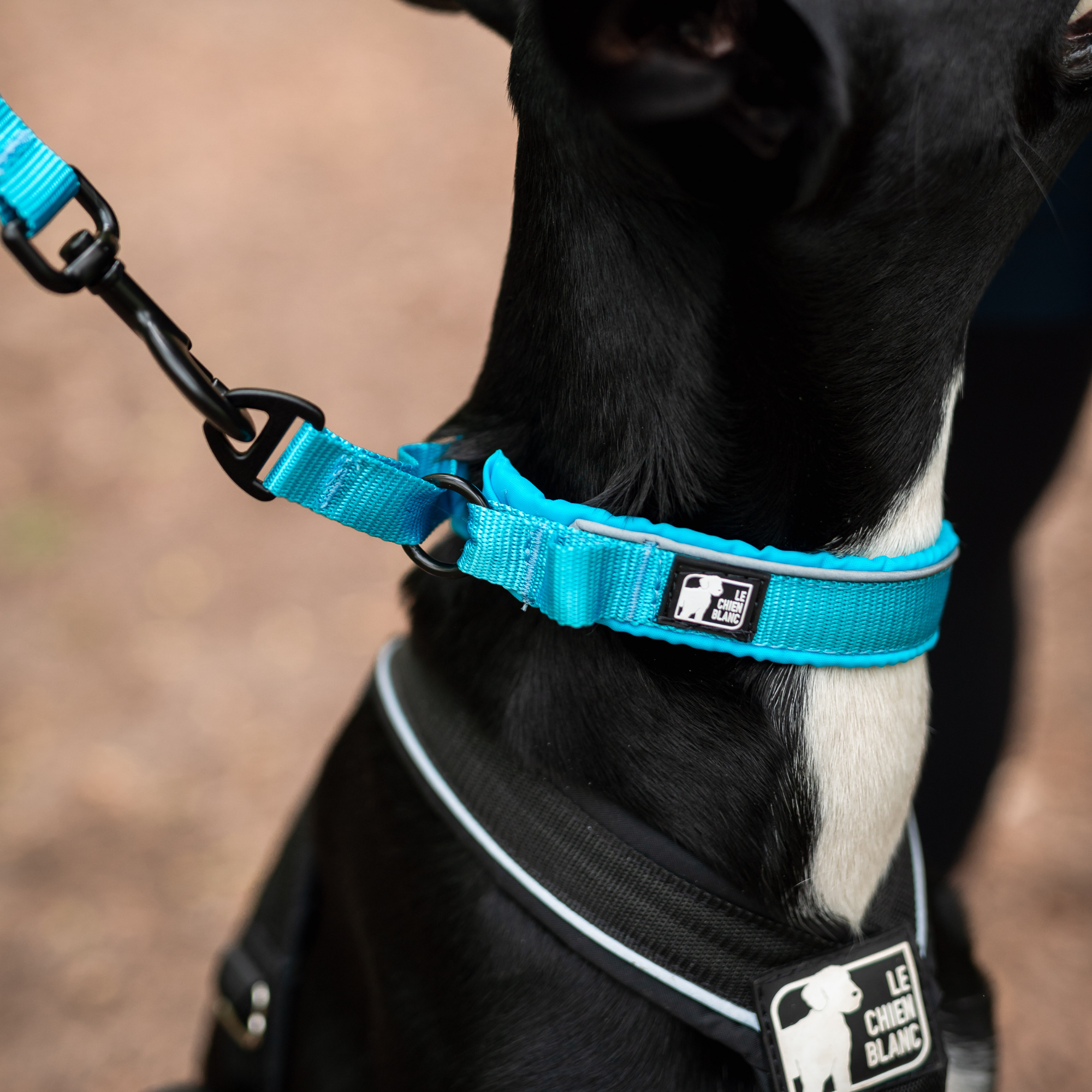 COLLIER MARTINGALE PADDÉ