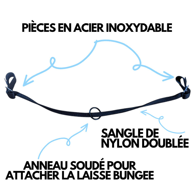 SANGLE DE REMPLACEMENT POUR CEINTURE