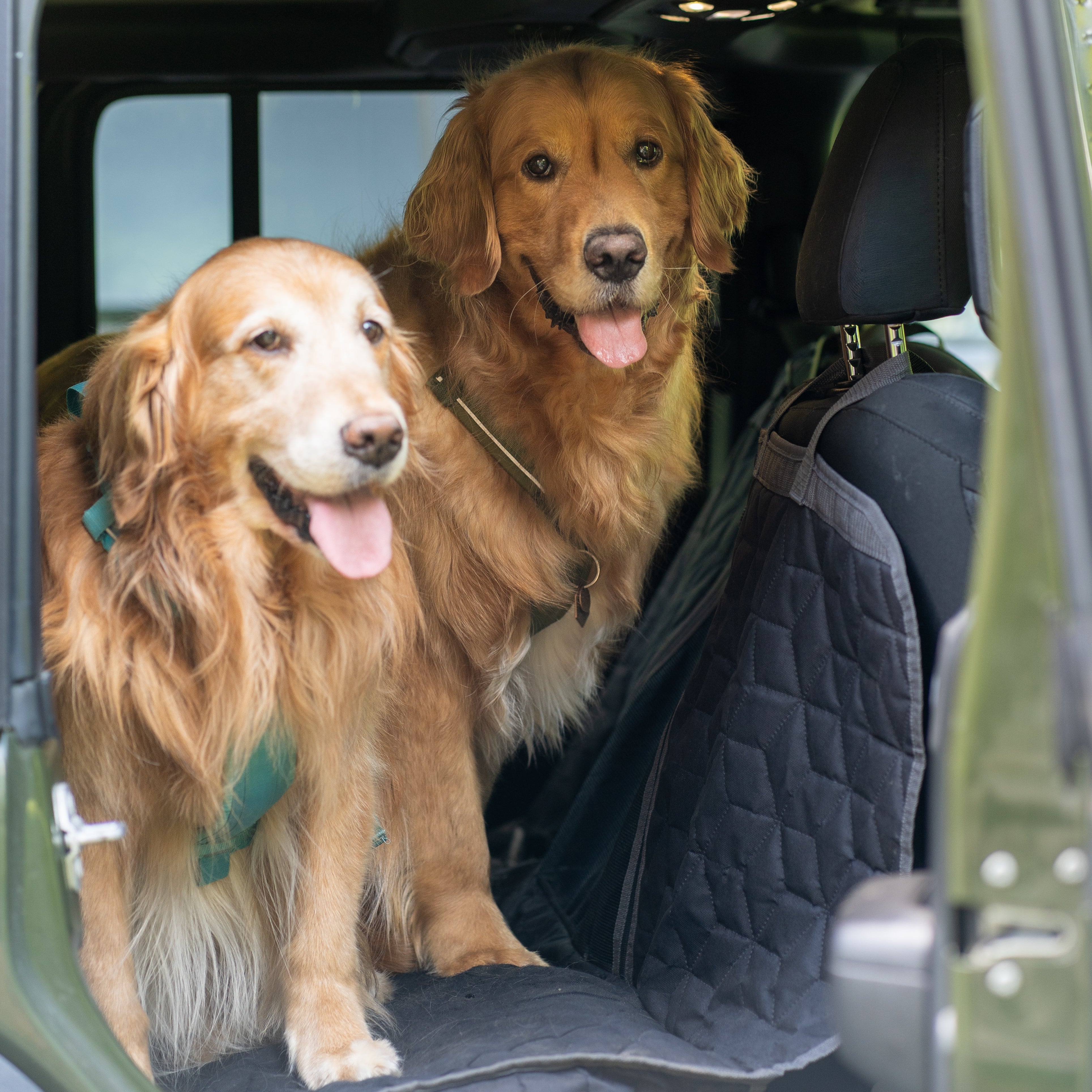HOUSSE POUR VOITURE NOMADE