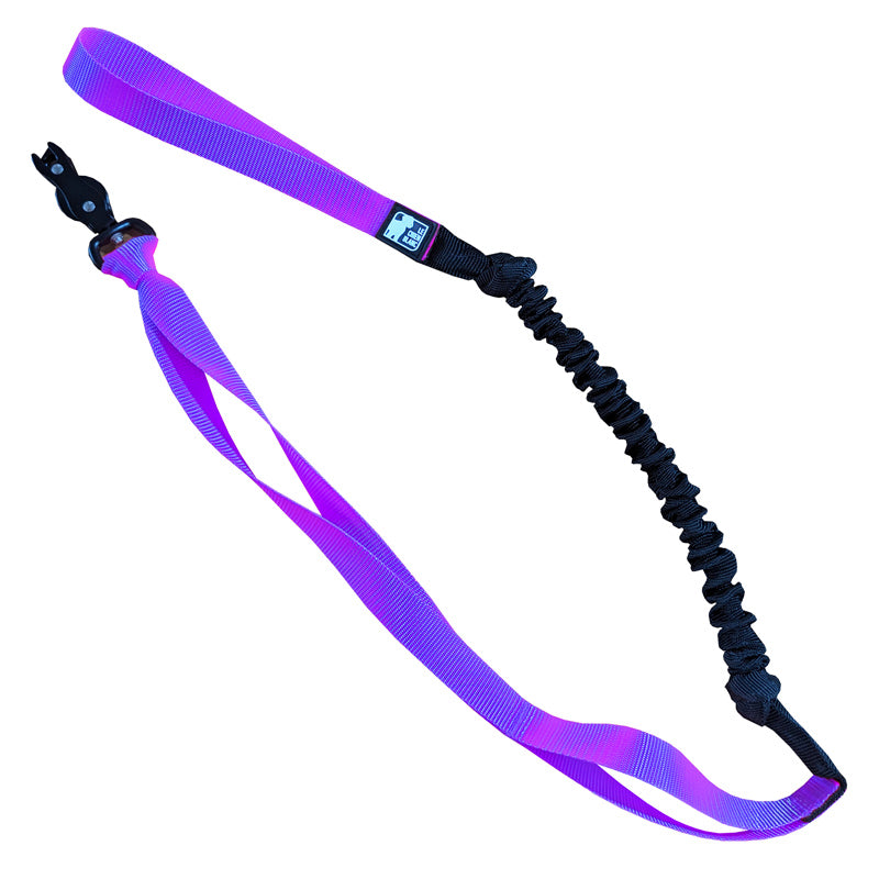 BUNGEE CANICROSS