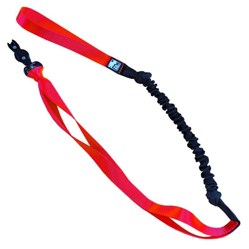 BUNGEE CANICROSS