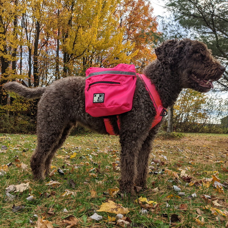 SAC À DOS EXPÉDITION