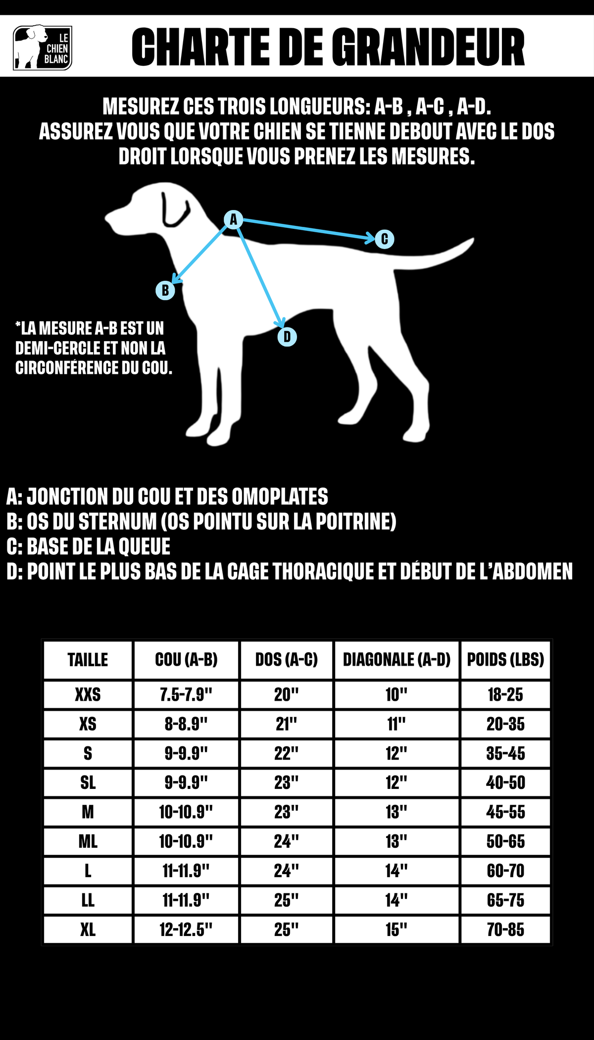 Charte de grandeur