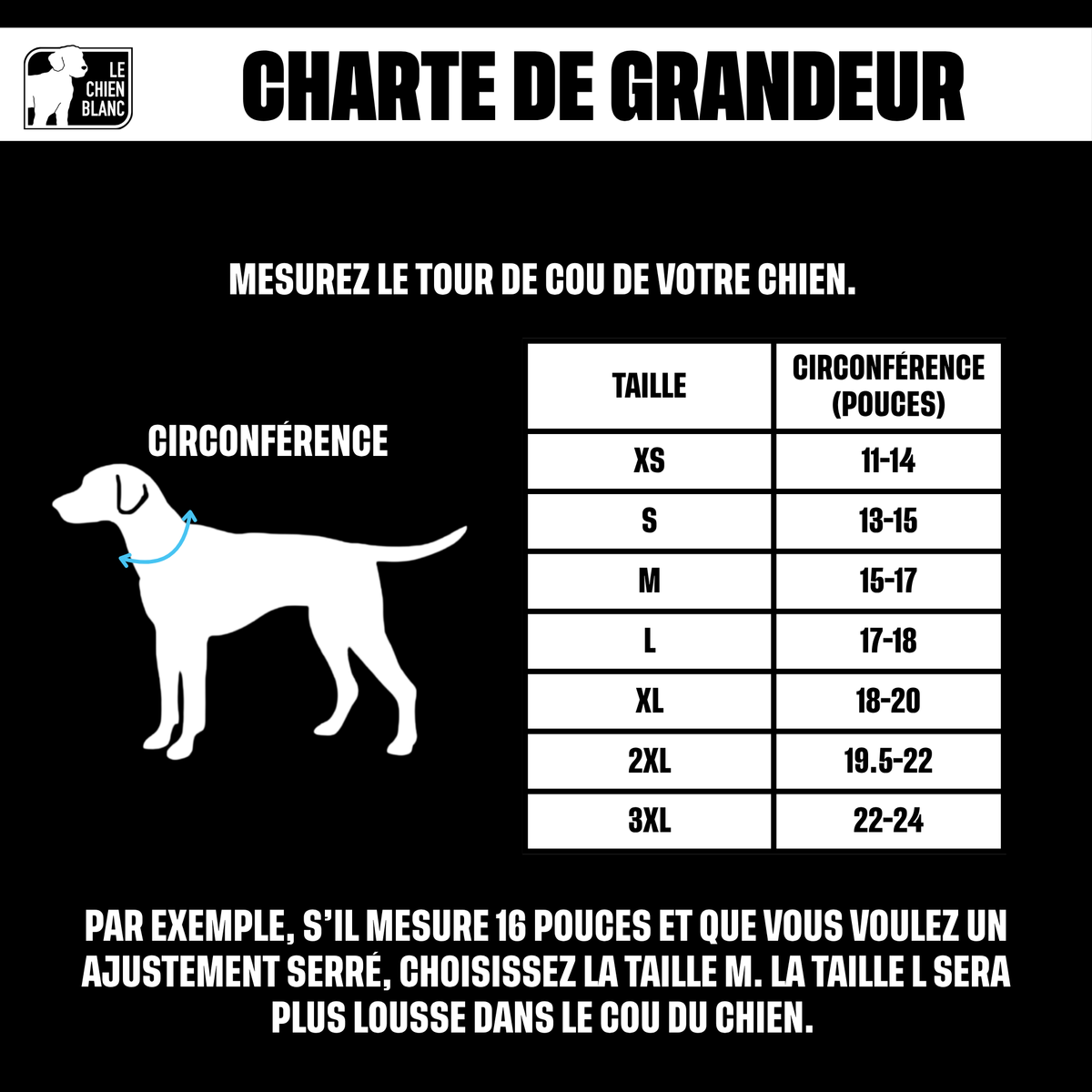 Charte de grandeur
