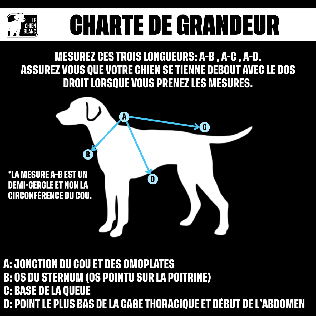 Charte de grandeur