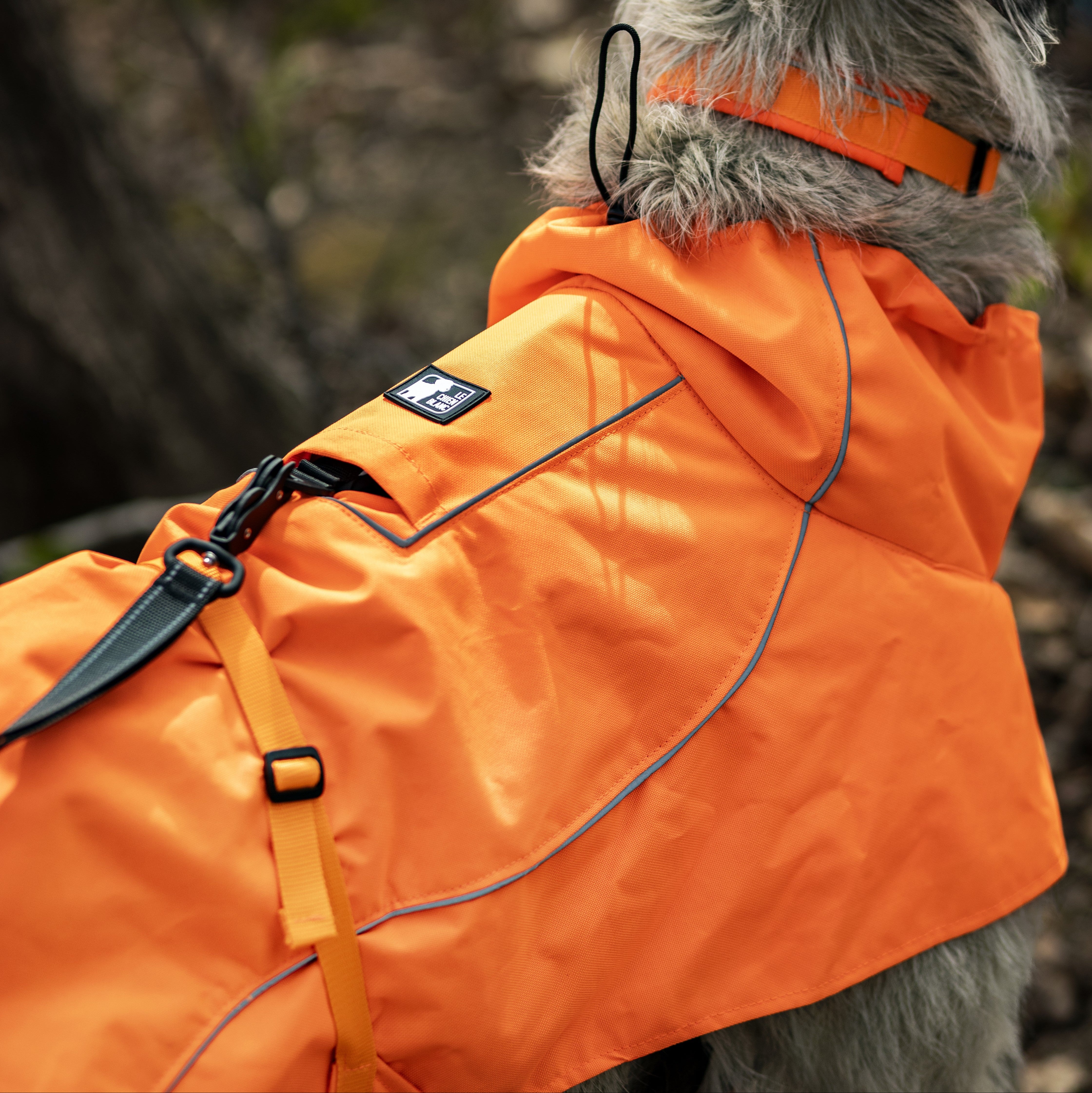 MANTEAU EQUINOXE