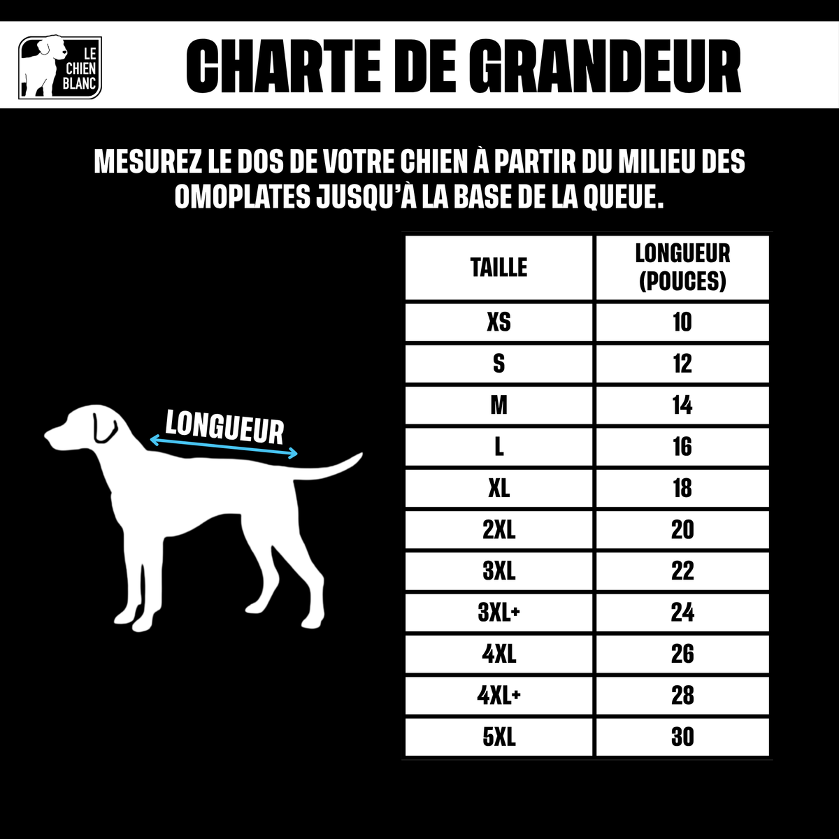 Charte de grandeur