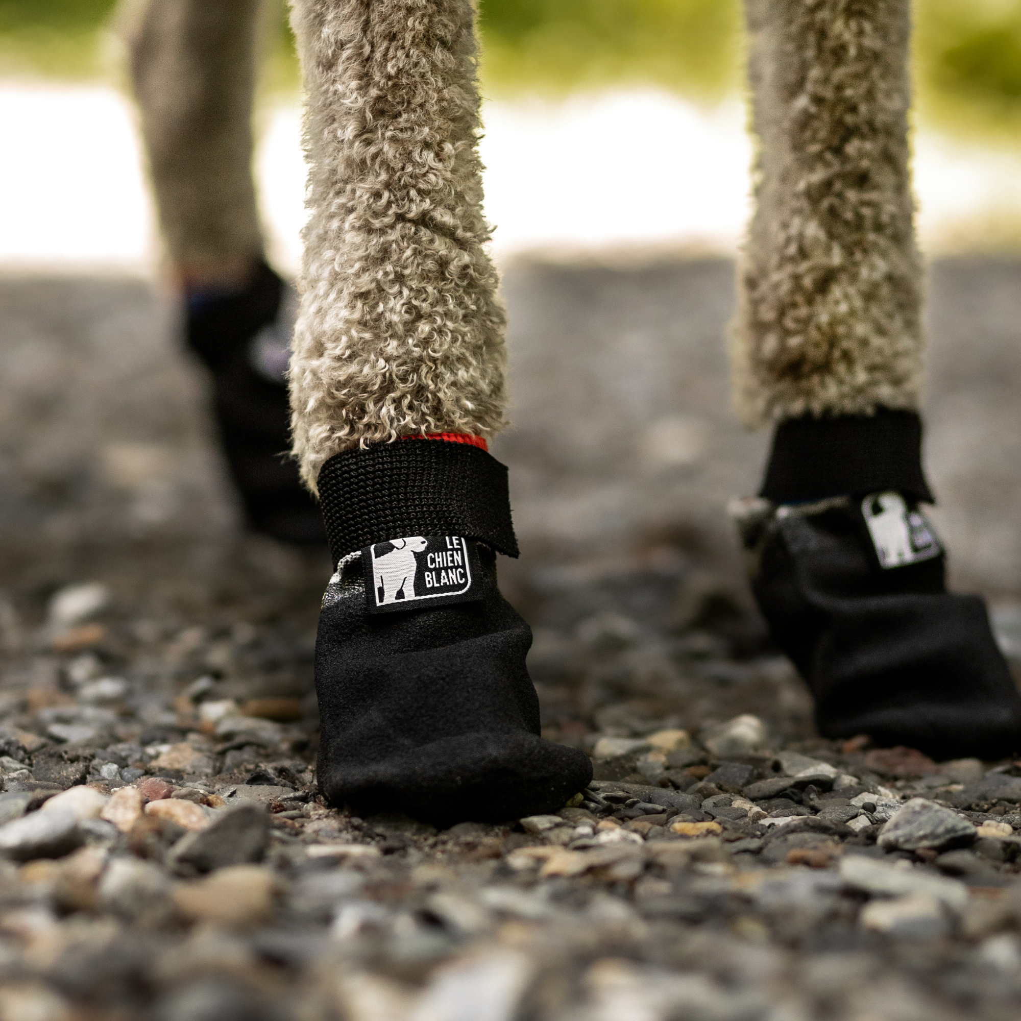 BOTTES COURTES GRIP