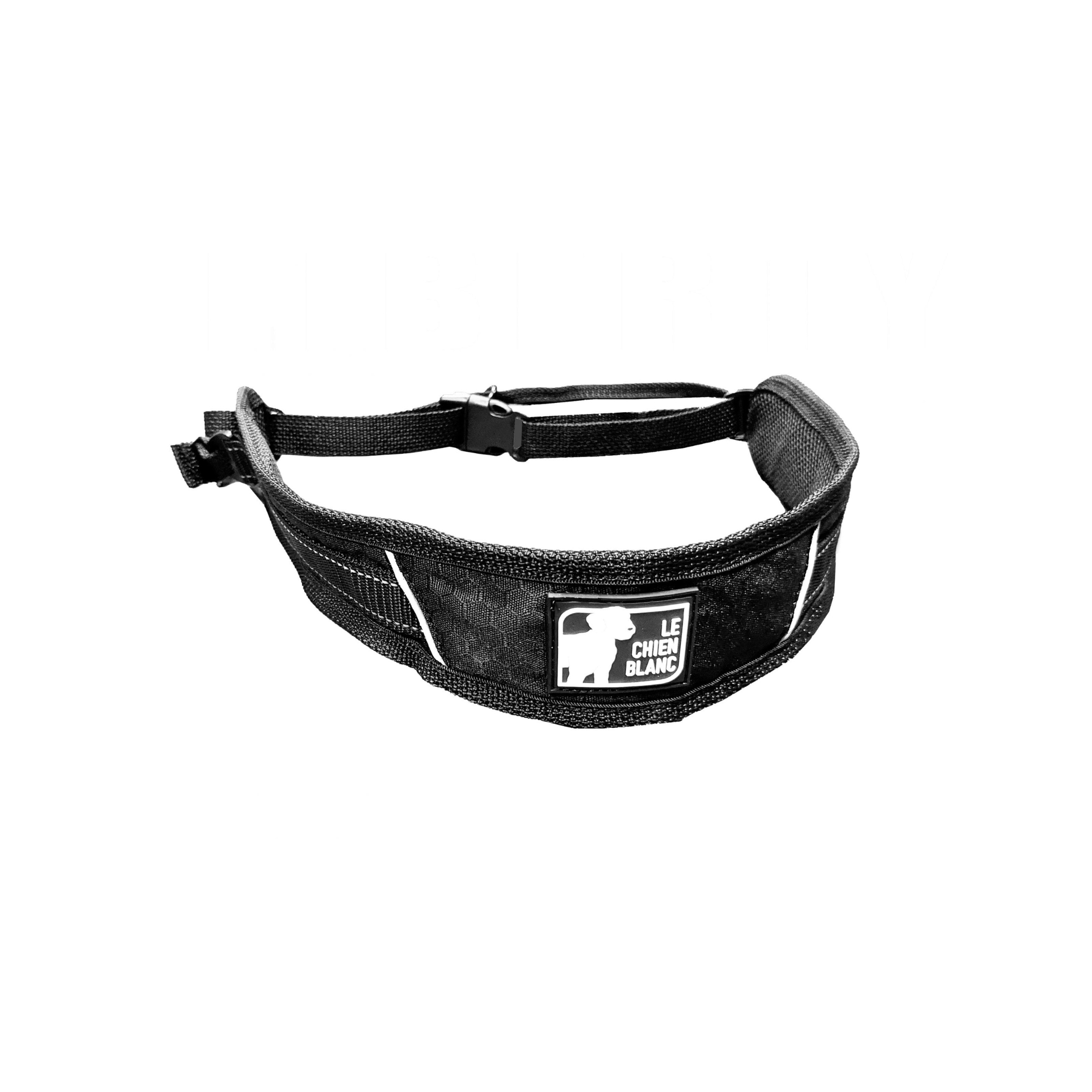 CEINTURE LIBERTY