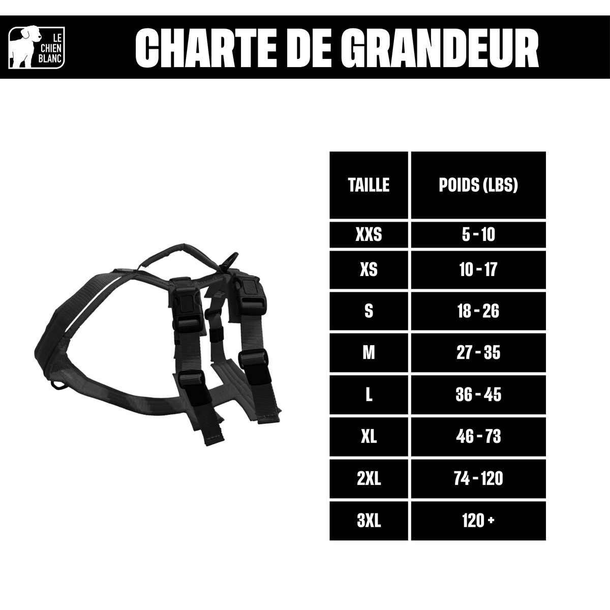 Charte de grandeur