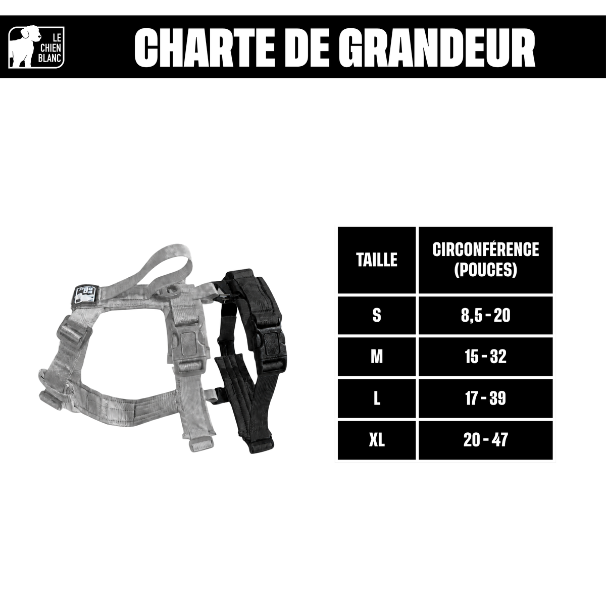 Charte de grandeur