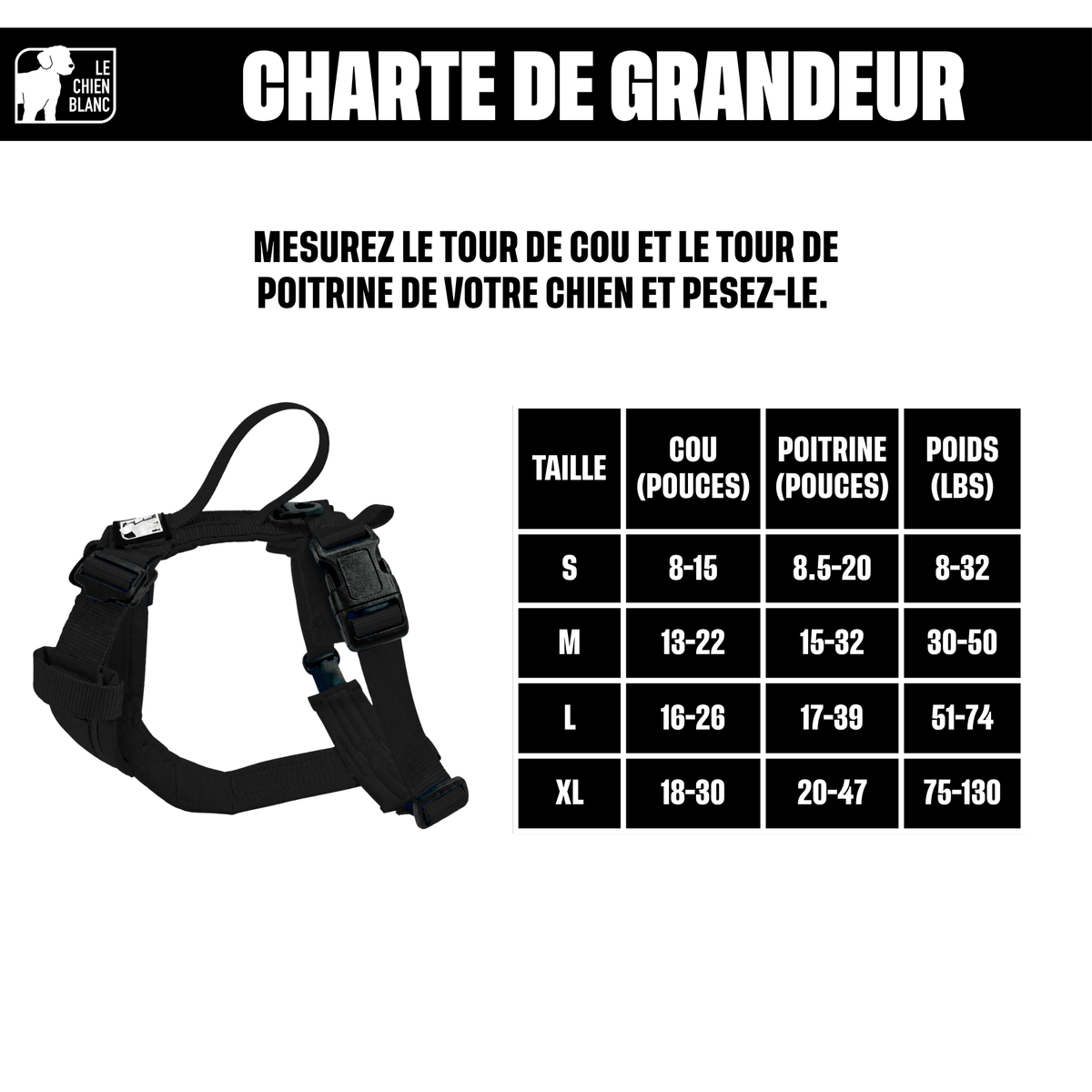 Charte de grandeur