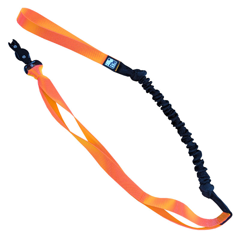 BUNGEE CANICROSS