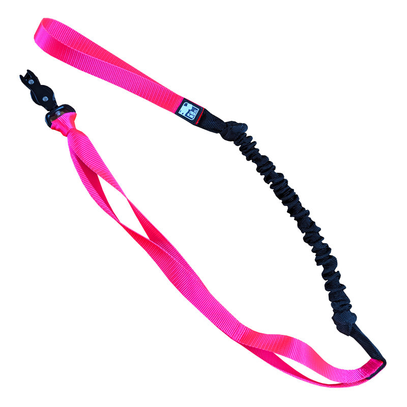 BUNGEE CANICROSS