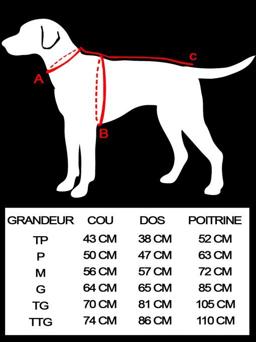 Forest dog coat chart le chien blanc