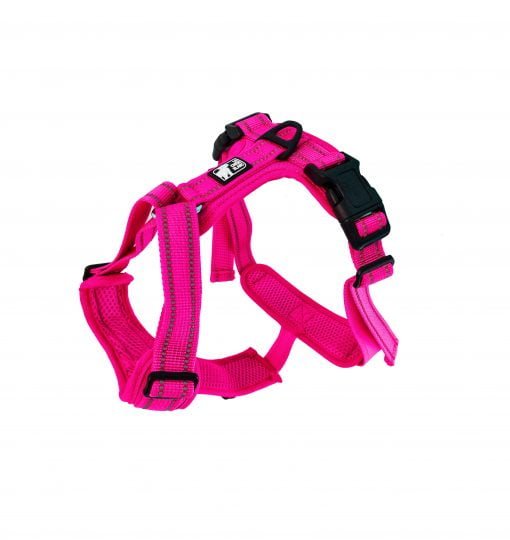 le chien blanc harness pink