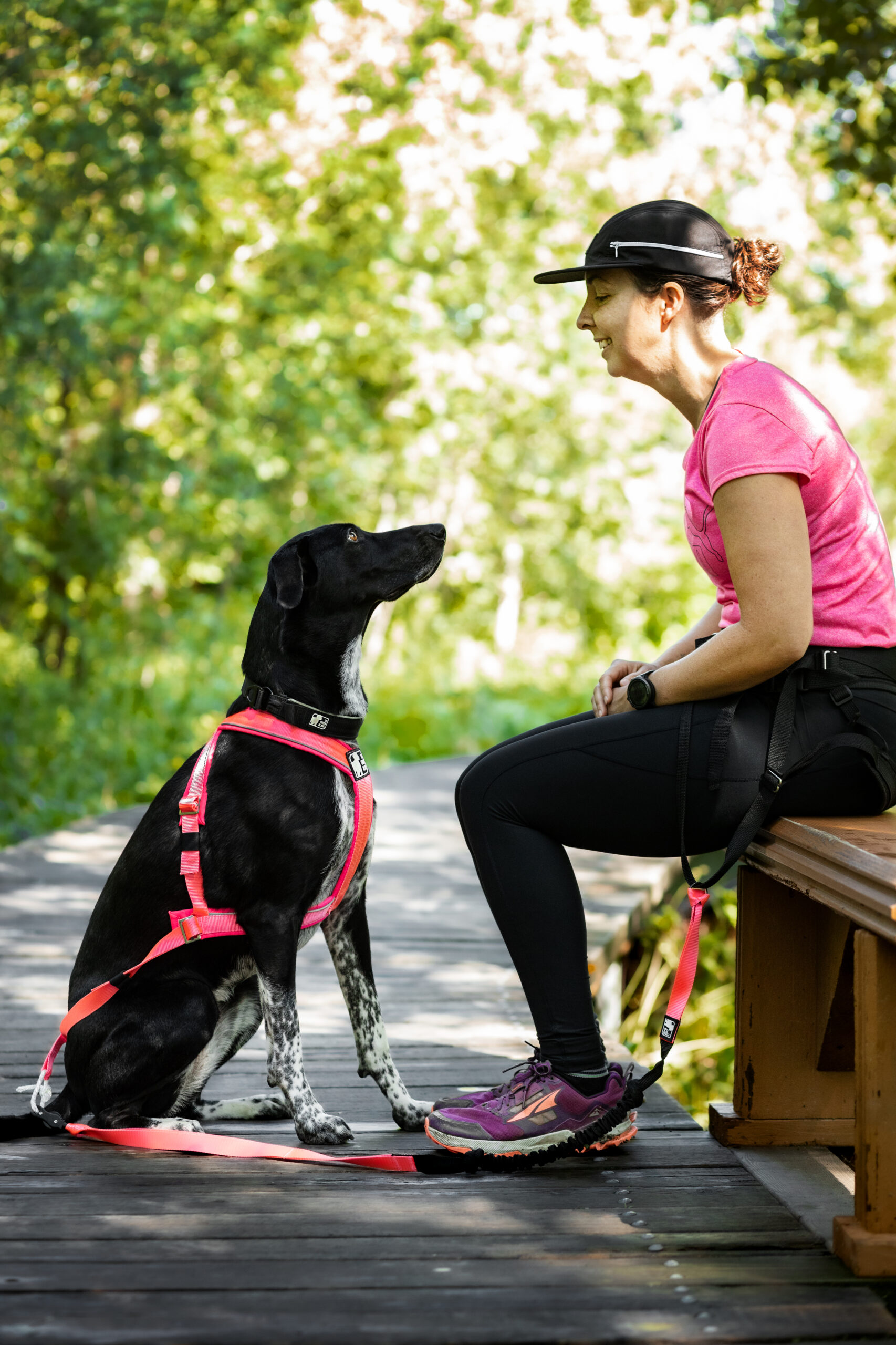 HARNAIS DE TRACTION AJUSTABLE TRAC – Image 10