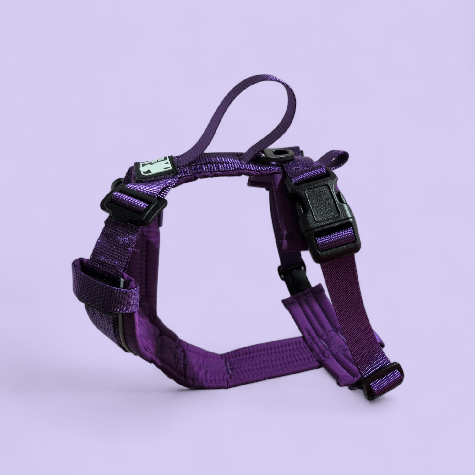 Harnais HORIZON mauve Purple harness dog