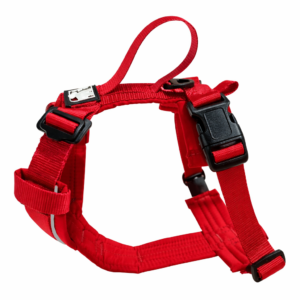 Harnais pour chien ajustable solide